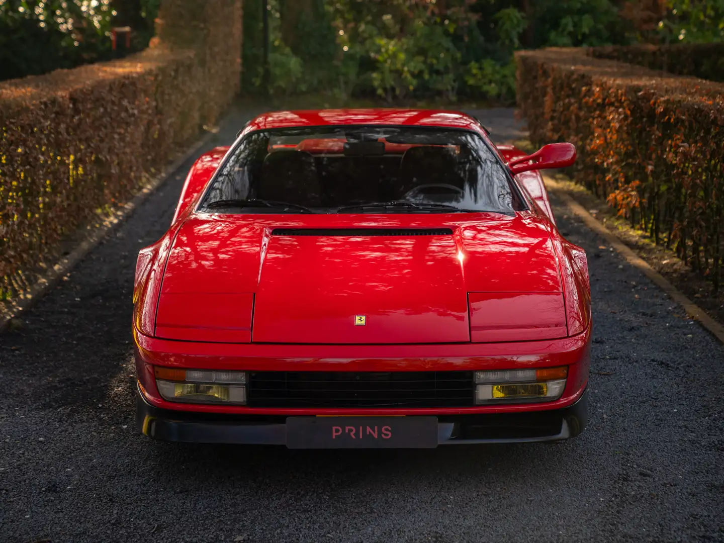 Ferrari Testarossa Monospecchio | 32-year-ownership Rouge - 2