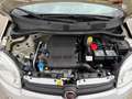Fiat Panda Panda III 2016 1.2 Lounge s - thumbnail 14
