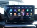 CUPRA Leon Sportstourer 2.0 TSI KAMERA NAVI ACC LED Grau - thumbnail 11