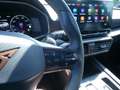 CUPRA Leon Sportstourer 2.0 TSI KAMERA NAVI ACC LED Grau - thumbnail 15