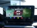 CUPRA Leon Sportstourer 2.0 TSI KAMERA NAVI ACC LED Grau - thumbnail 10