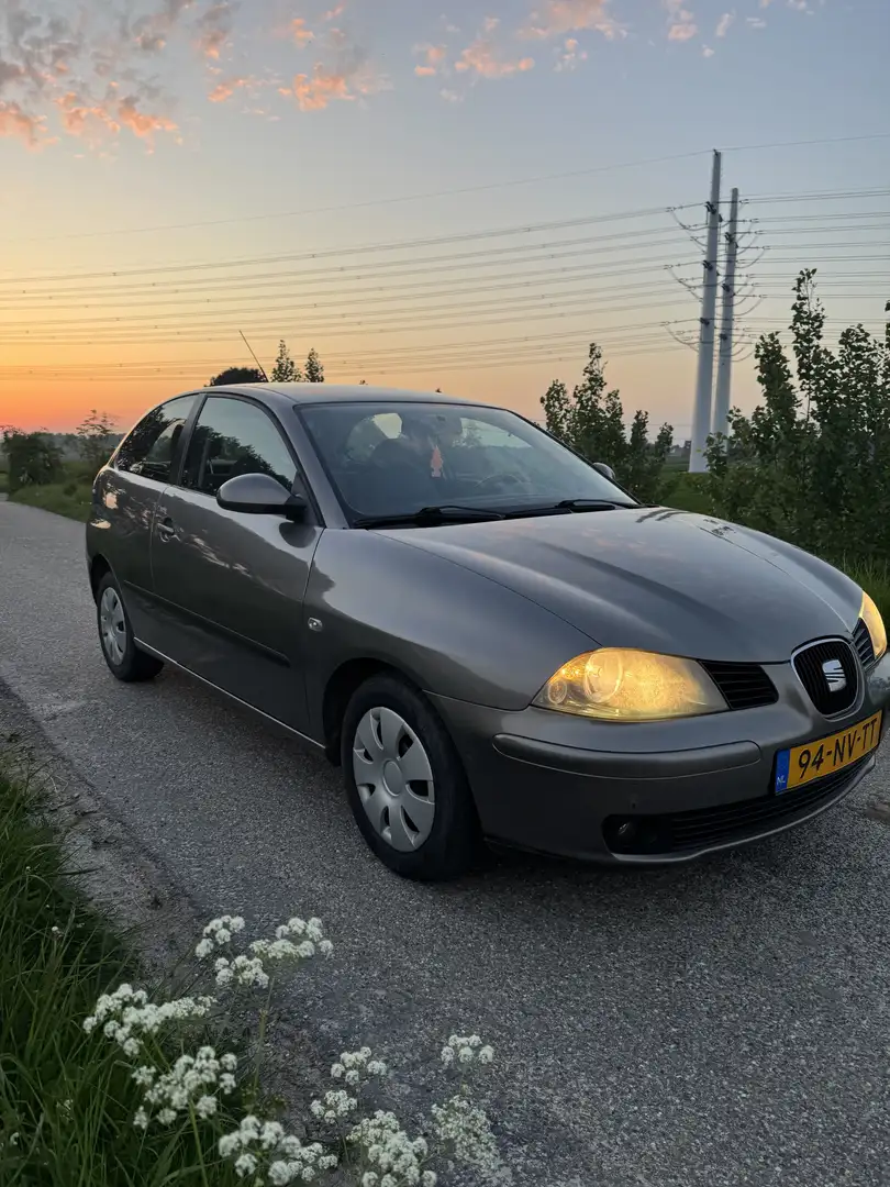 SEAT Ibiza 1.4-16V Signo Grau - 1