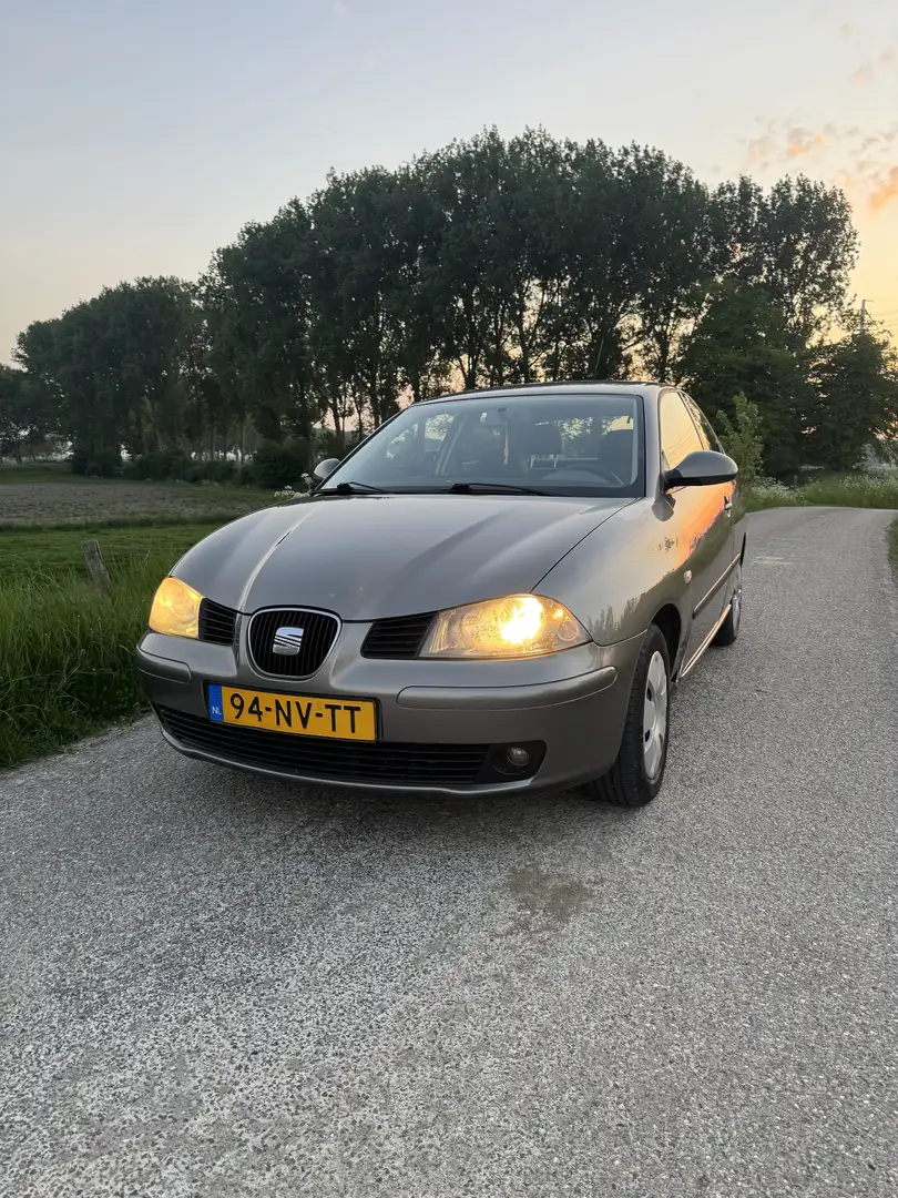 SEAT Ibiza 1.4-16V Signo Grau - 2