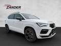 CUPRA Ateca 2.0 TSI DSG 4Drive AHK NAVI Blanco - thumbnail 8