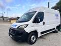 Fiat Ducato Pm Hm Weiß - thumbnail 5