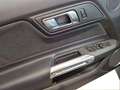 Ford Mustang Convertible 5.0 Ti-VCT V8 Aut. GT Gris - thumbnail 11