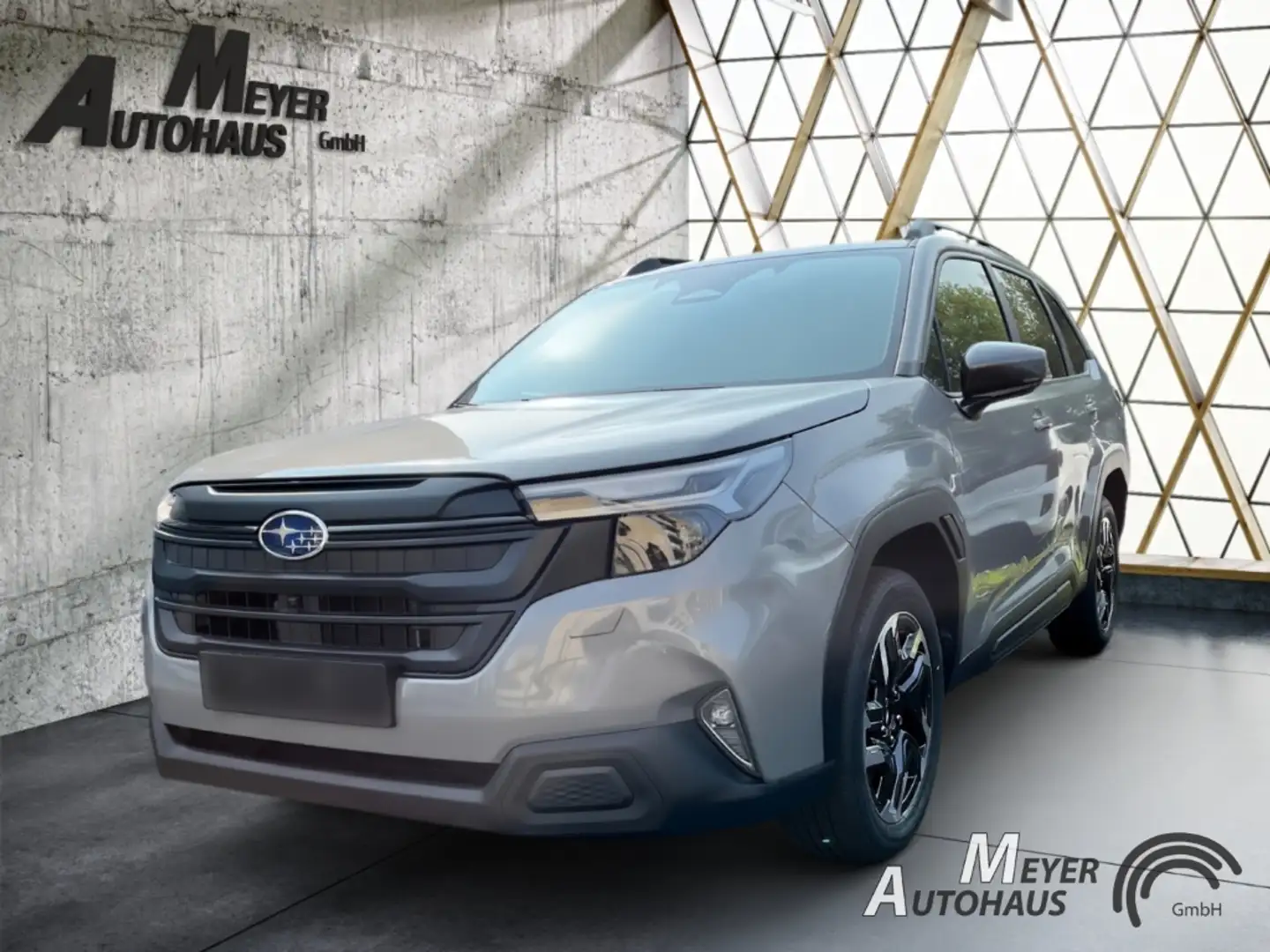 Subaru Forester 2.0 AWD Exclusive+LED+Panoramaglasdach+el. Hecklap Gris - 1
