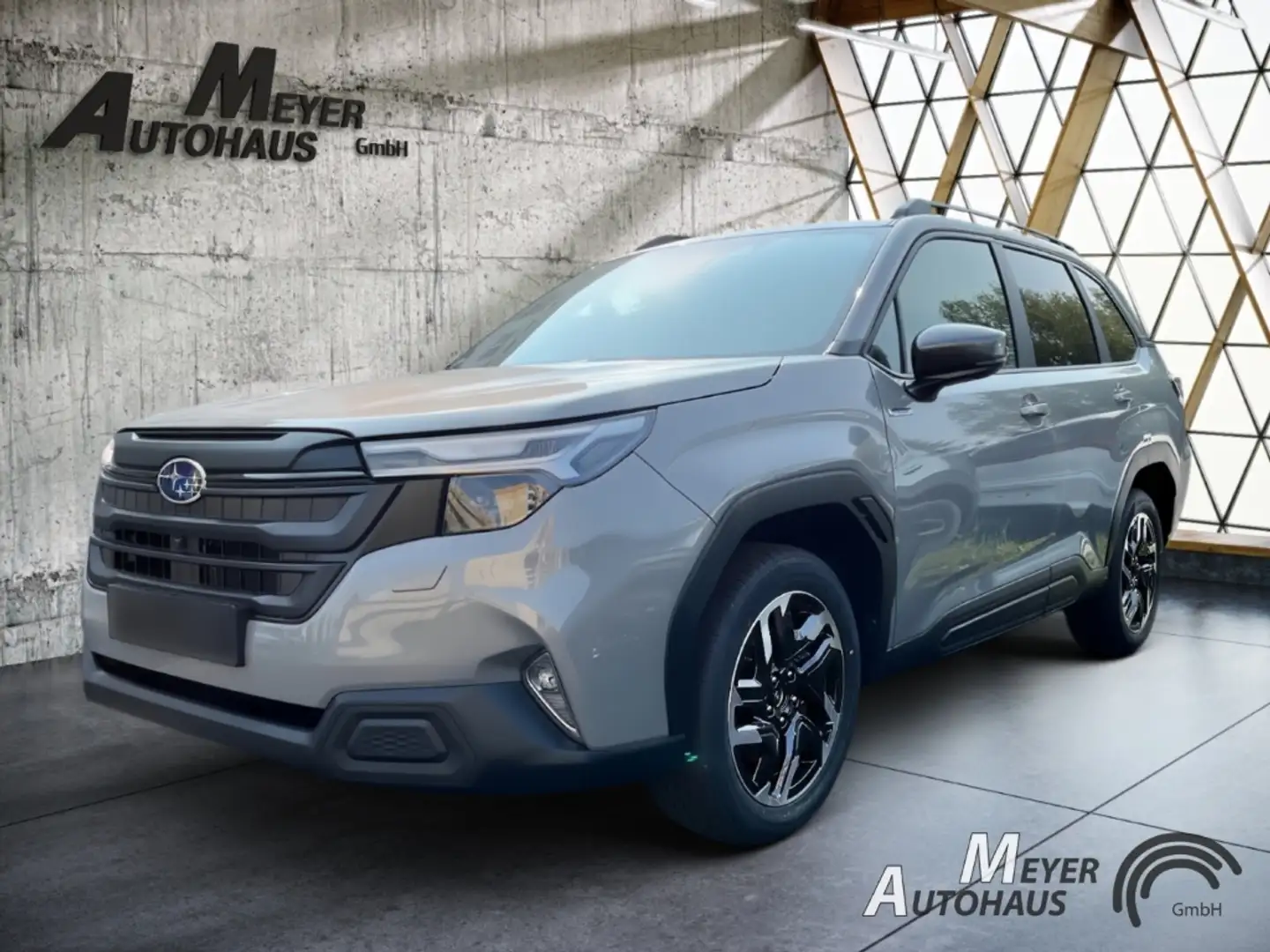 Subaru Forester 2.0 AWD Exclusive+LED+Panoramaglasdach+el. Hecklap Grau - 2