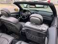 Mercedes-Benz CLK 200 CLK 200 Cabrio Avantgarde Aut. Silber - thumbnail 13