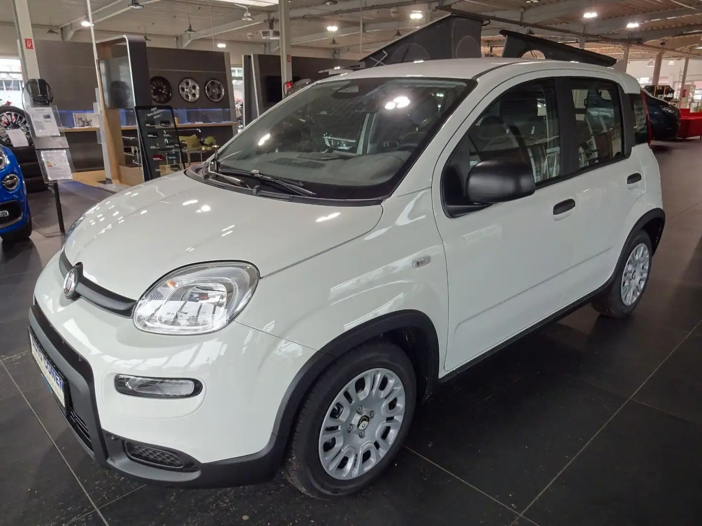 Fiat Panda Pandina Cross Mild Hybrid Wit - 1