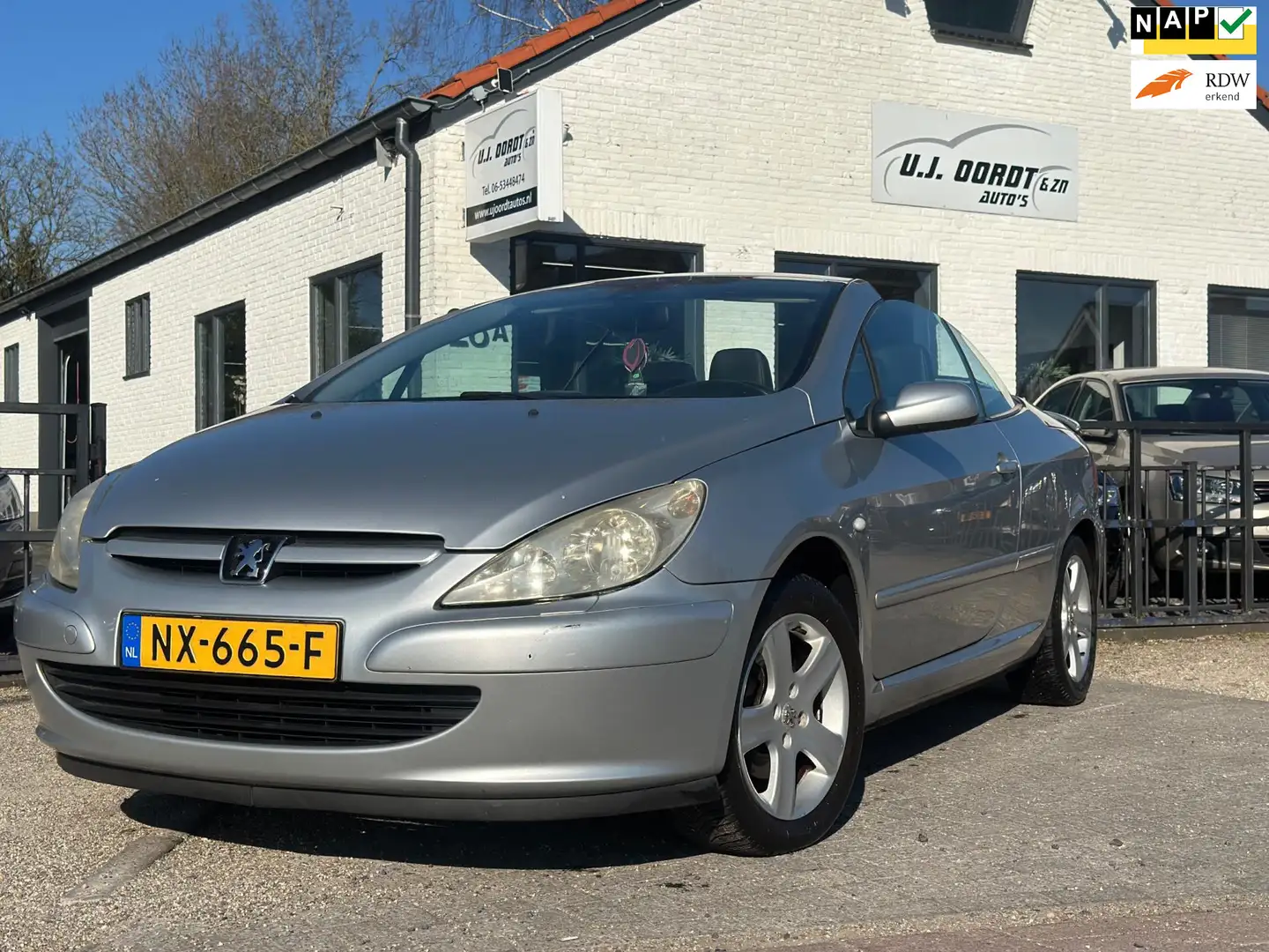 Peugeot 307 CC 1.6-16V Gris - 1