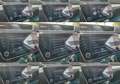 Skoda Superb Combi ACC DAB LED MEMORY NAVI RFK Blau - thumbnail 19