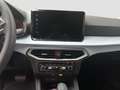 SEAT Ibiza Road Edition 1.0 TSI DSG Bleu - thumbnail 15