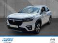 Suzuki SX4 S-Cross 5T 1.4 BOOST GSR HYBRID ALLGRIP Comfort+ Weiß - thumbnail 1