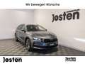Skoda Octavia Combi Selection 2.0 TDI NAVI AHK LED Grijs - thumbnail 1