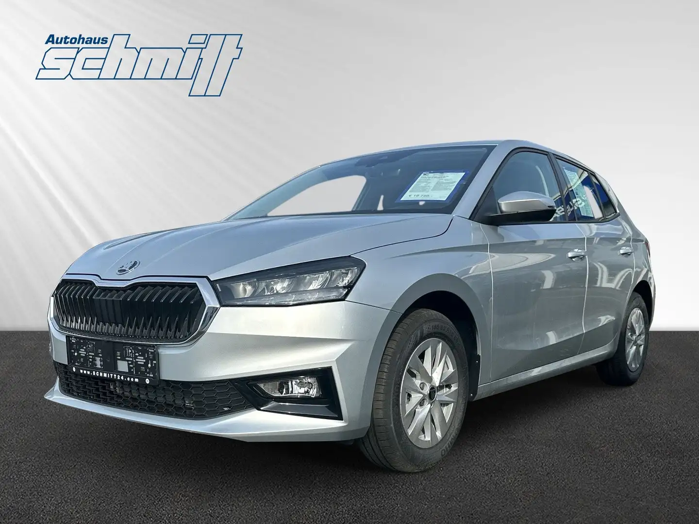 Skoda Fabia SELECTION 1.0 TSI-EU-NEU mit TZ- NETTO 16.597,- Grau - 1