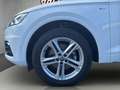 Audi Q5 2,0 TDI quattro sport S-tronic Blanc - thumbnail 28
