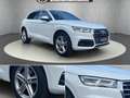 Audi Q5 2,0 TDI quattro sport S-tronic Blanc - thumbnail 4