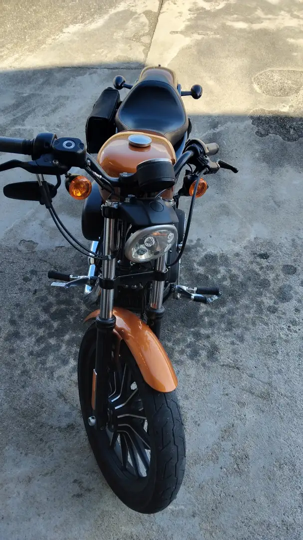 Harley-Davidson Sportster 883 Portocaliu - 2