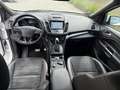 Ford Kuga 2,0 TDCi ST-Line Start/Stop Powershift Aut. AWD - thumbnail 7
