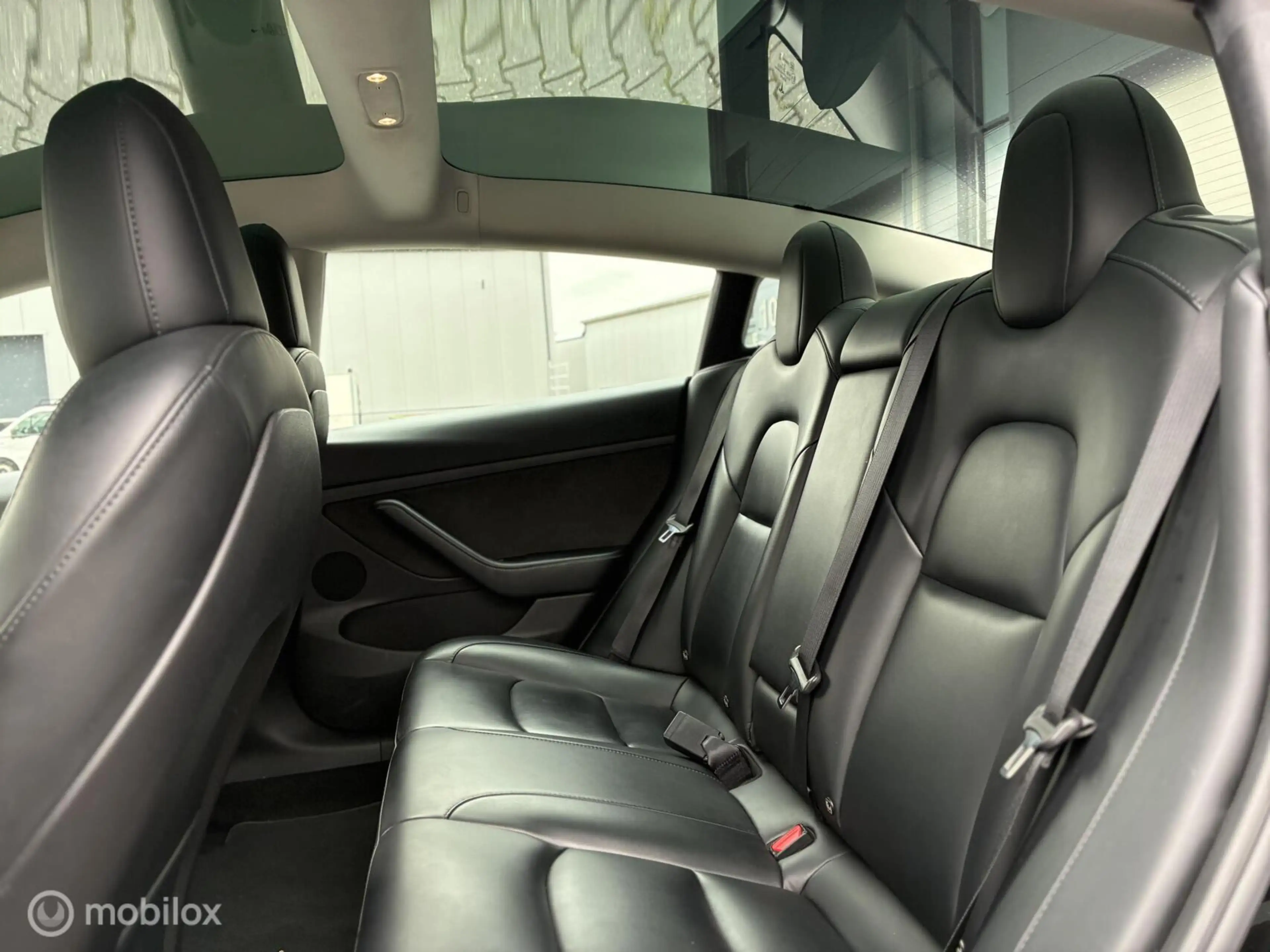 Tesla Model 3 Standard RWD Plus | 60 kWh LFP | Warmtepomp | 19" — photo 16