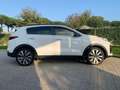 Kia Sportage 4ª serie 1.6 GDI 2WD Business Class Blanc - thumbnail 6
