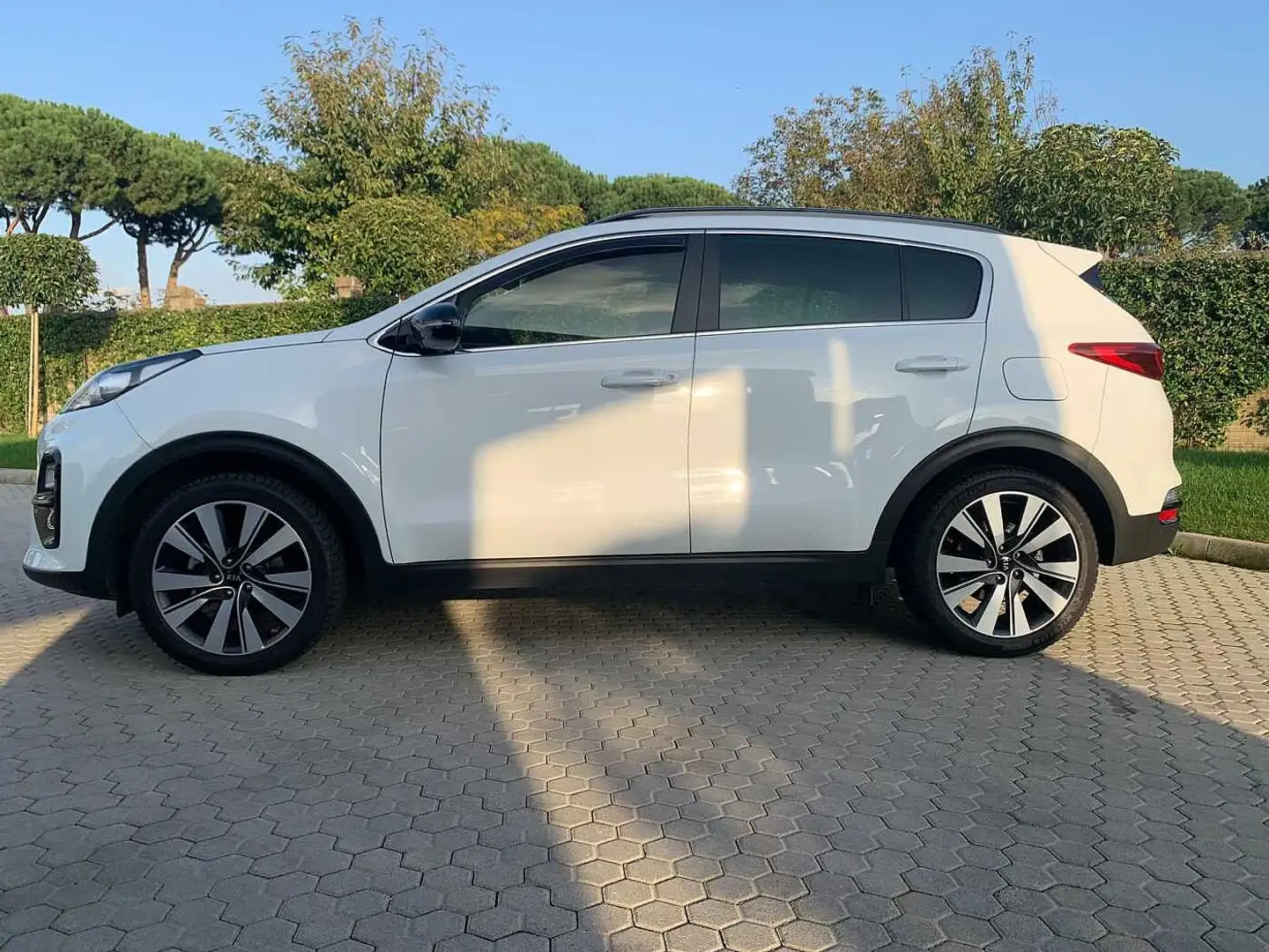 Kia Sportage 4ª serie 1.6 GDI 2WD Business Class Blanc - 2