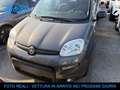 Fiat Panda 0.9 TwinAir Turbo Natural Power City Life 5posti Grau - thumbnail 1