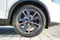 Nissan Qashqai Tekna*1.Hand*360°*Bose*ACC*HUD*Totwinkel Weiß - thumbnail 50