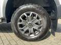 Ford Ranger 2.0 Ecoblue 4WD Doppelkabine Wildtrak e- Weiß - thumbnail 10