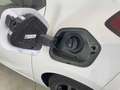 Opel Corsa 5 Porte 1.2  D&T Bianco - thumbnail 9