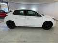 Opel Corsa 5 Porte 1.2  D&T Bianco - thumbnail 4