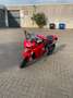 Ducati SuperSport Ducati Supersport 950 ( 35 kw op papier ) - thumbnail 9