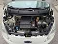 Ford Ka/Ka+ Ka 1.2 Start-Stopp-System Trend Weiß - thumbnail 15