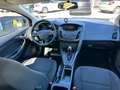 Ford Focus Alufelgen/Automatik/Wenig Kilometer Noir - thumbnail 14