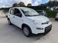 Fiat Panda Panda 1.0 FireFly S&S Hybrid City Life Bianco - thumbnail 1