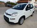 Fiat Panda Panda 1.0 FireFly S&S Hybrid City Life Bianco - thumbnail 2