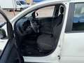 Fiat Panda Panda 1.0 FireFly S&S Hybrid City Life Bianco - thumbnail 5