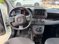 Fiat Panda Panda 1.0 FireFly S&S Hybrid City Life Bianco - thumbnail 6