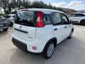 Fiat Panda Panda 1.0 FireFly S&S Hybrid City Life Bianco - thumbnail 3