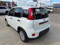 Fiat Panda Panda 1.0 FireFly S&S Hybrid City Life Bianco - thumbnail 4