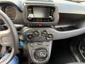 Fiat Panda Panda 1.0 FireFly S&S Hybrid City Life Bianco - thumbnail 7