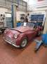 Triumph TR3 DA RESTAURO Weiß - thumbnail 1