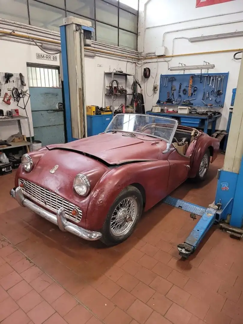 Triumph TR3 DA RESTAURO Weiß - 1