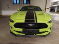 Ford Mustang 5.0 GT-V8 I Aut. I ACC I MagneRide I B&O I Kamera Black - thumbnail 1