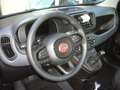 Fiat Panda 1.0 FireFly S&S Hybrid 5°posto Pack City Km0 Noir - thumbnail 10