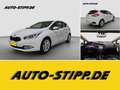 Kia Ceed / cee'd 1.6 Spirit NAVI TEMP RFK KEYLESS SITZH PDC Blanc - thumbnail 1