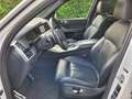BMW X5 M M50d Aut. Laserlicht Blanc - thumbnail 10