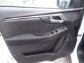 Isuzu D-Max D-Max Double Cab 163 LS Automatik + HARDTOP+AHK... Weiß - thumbnail 11
