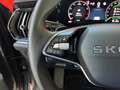 Skoda Kodiaq Selection TSI mHEV DSG Grün - thumbnail 13